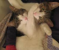 Hallo, ich bin Pippo&Pauli Bild von Pippo&Pauli