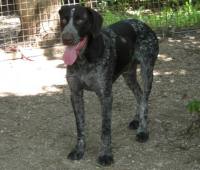 Bild von Benno 